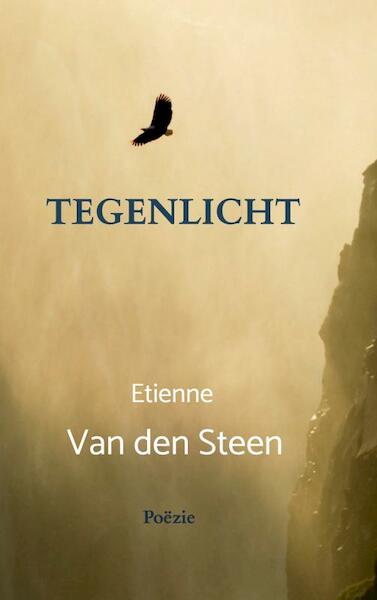Tegenlicht - Etienne Van den Steen (ISBN 9789464922677)