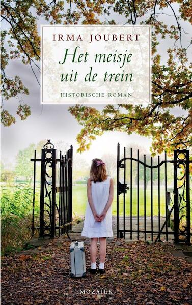 Het meisje uit de trein - Irma Joubert (ISBN 9789023993629)