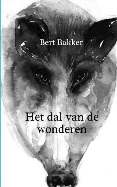 Vallee des Merveilles - Bert Bakker (ISBN 9789090164823)