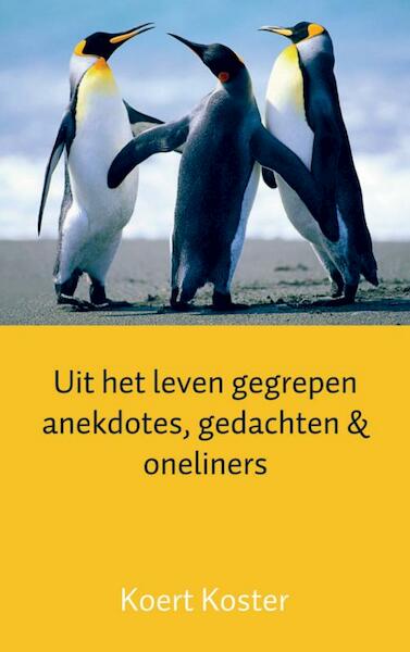 Uit het leven gegrepen anekdotes, gedachten en oneliners - Koert Koster (ISBN 9789461938015)