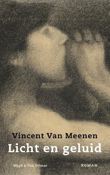 Licht en geluid - Vincent Van Meenen (ISBN 9789038800929)