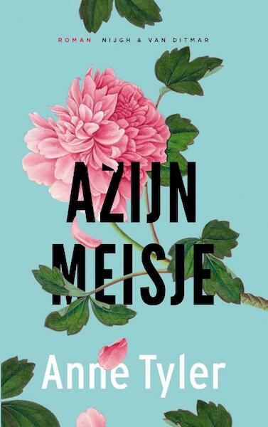 Azijnmeisje - Anne Tyler (ISBN 9789038802121)