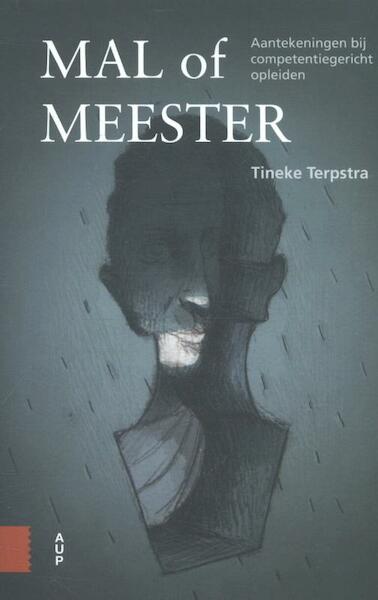 Mal of meester - Tineke Terpstra (ISBN 9789462984219)
