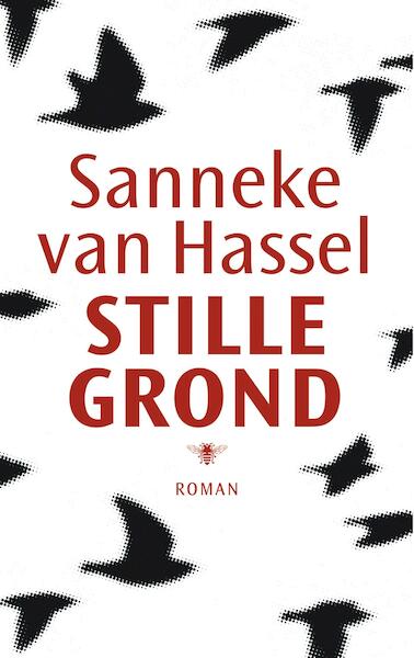 Stille grond - Sanneke van Hassel (ISBN 9789023474753)
