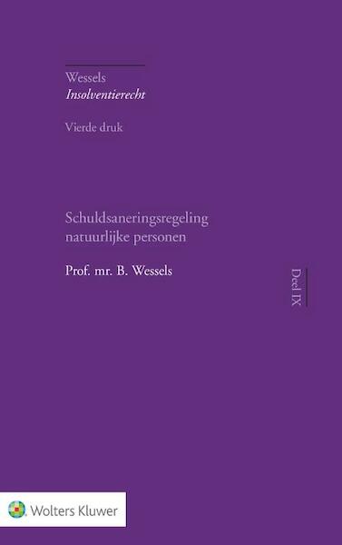Schuldsaneringsregeling natuurlijke personen - B. Wessels (ISBN 9789013146134)