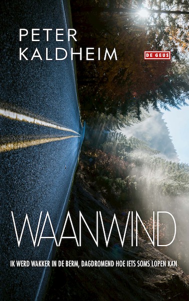 Idiot Wind - Peter Kaldheim (ISBN 9789044542103)