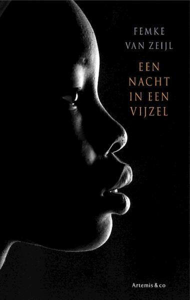 Een nacht in een vijzel - Femke van Zeijl (ISBN 9789047203452)