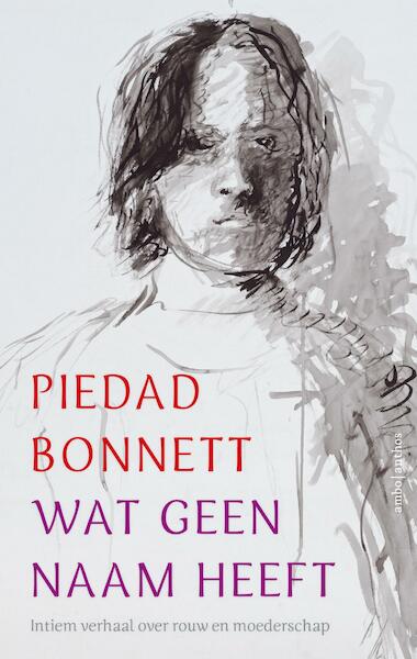 Wat geen naam heeft - Piedad Bonnett (ISBN 9789026339554)