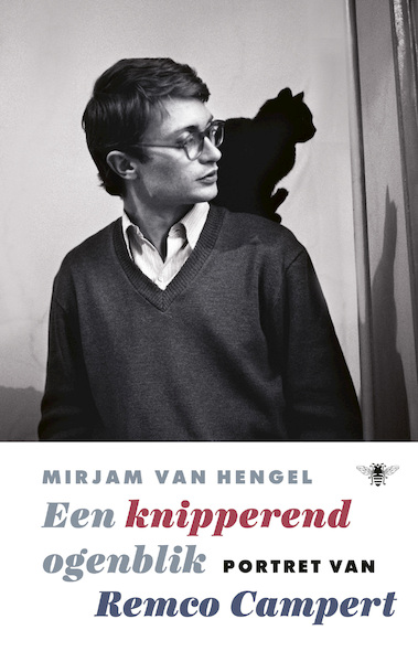 Een knipperend ogenblik - Mirjam van Hengel (ISBN 9789403122908)