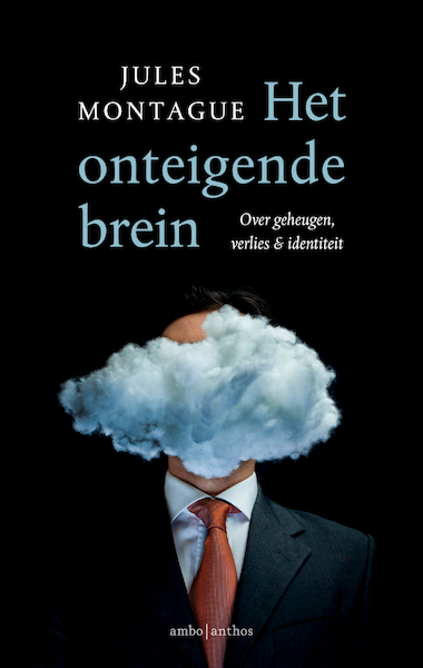 Het onteigende brein - Jules Montague (ISBN 9789026344862)