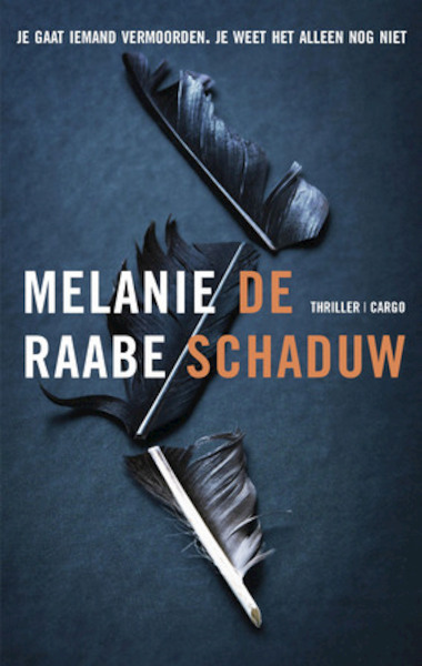 De schaduw - Melanie Raabe (ISBN 9789403158501)