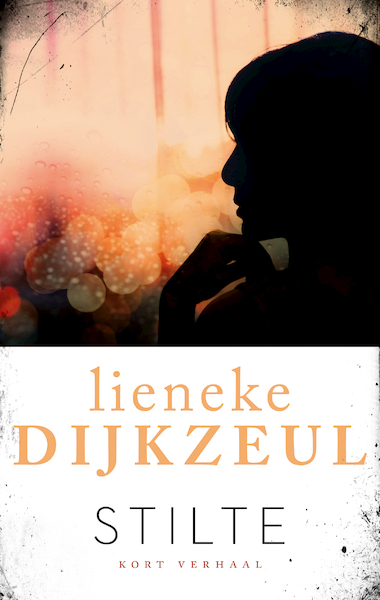 Stilte - Lieneke Dijkzeul (ISBN 9789026348303)