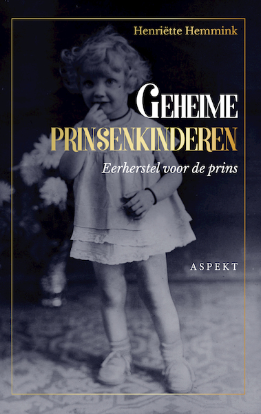 Geheime prinskinderen - Henriette Hemmink (ISBN 9789464242478)