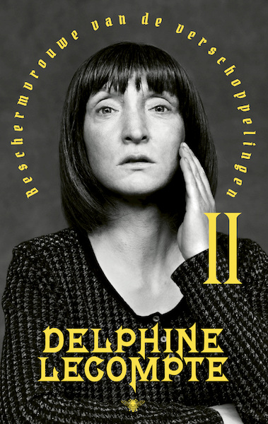 Beschermvrouwe van de verschoppelingen deel 2 - Delphine Lecompte (ISBN 9789403159119)