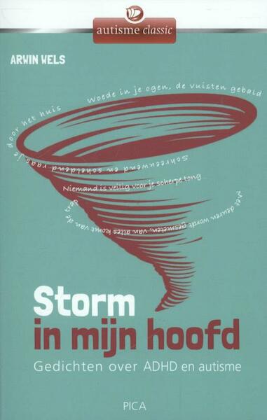 Storm in mijn hoofd - Arwin Wels (ISBN 9789077671993)