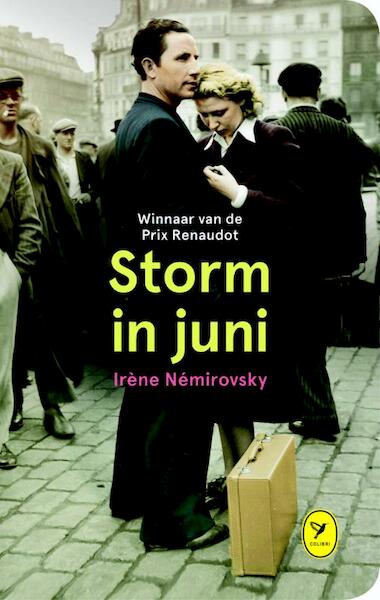 Storm in juni - (ISBN 9789462370401)