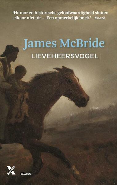 Mcbride*lieveheersvogel mp - James McBride (ISBN 9789401605410)