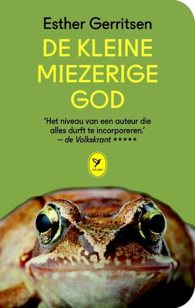 De kleine miezerige god - Esther Gerritsen (ISBN 9789462370531)