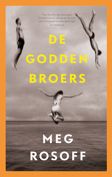 De Godden broers - Meg Rosoff (ISBN 9789024592357)