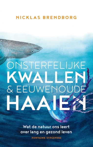 Stokoude haaien & leeftijdloze kwallen - Nicklas Brendborg (ISBN 9789464041491)