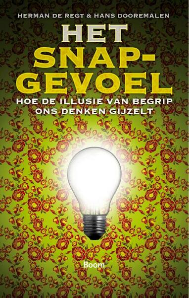 Het snapgevoel - Herman de Regt, Hans Dooremalen (ISBN 9789461056795)
