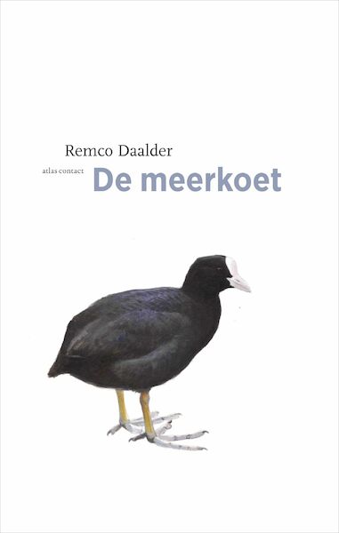 Meerkoet - Remco Daalder (ISBN 9789045030258)
