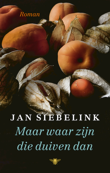 Maar waar zijn die duiven dan - Jan Siebelink (ISBN 9789403182902)