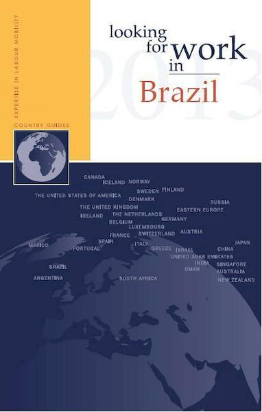 Looking for work in Brazil - Flávia Witmer, Nannette Ripmeester (ISBN 9789058960870)