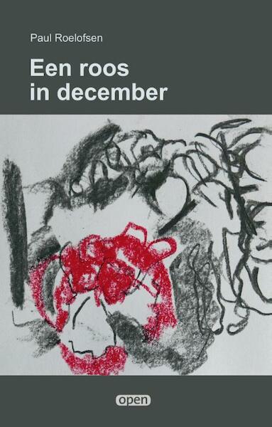 Een roos in december - Paul Roelofsen (ISBN 9789490834913)