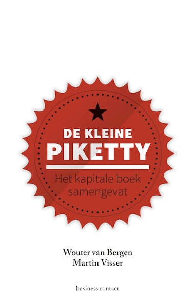 De kleine Piketty - Wouter van Bergen, Martin Visser (ISBN 9789047012344)