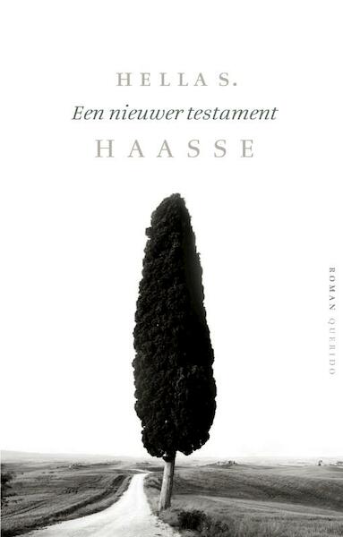 Een nieuwer testament - Hella S. Haasse (ISBN 9789021434995)