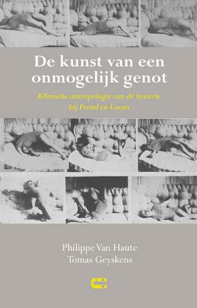 De kunst van een onmogelijk genot - Philippe van Haute, Tomas Geyskens (ISBN 9789086840656)