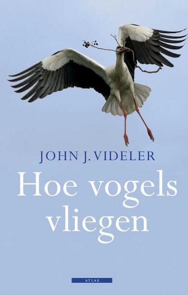 Hoe vogels vliegen - John J. Videler (ISBN 9789045020501)