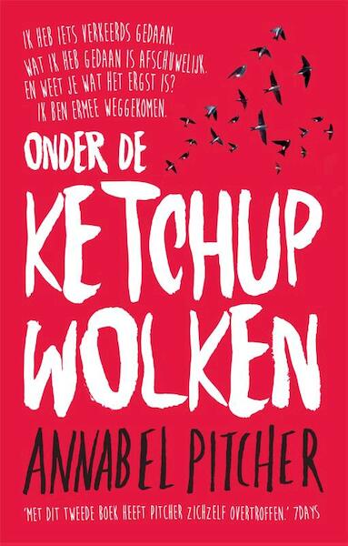 Onder de ketchupwolken - Annabel Pitcher (ISBN 9789049926458)