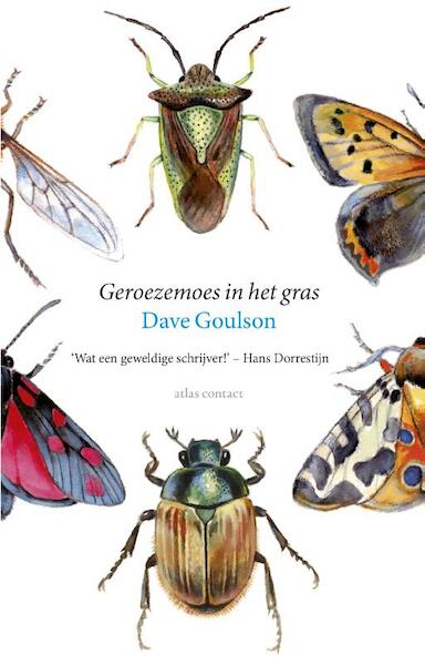 Geroezemoes in het gras - Dave Goulson (ISBN 9789045028422)