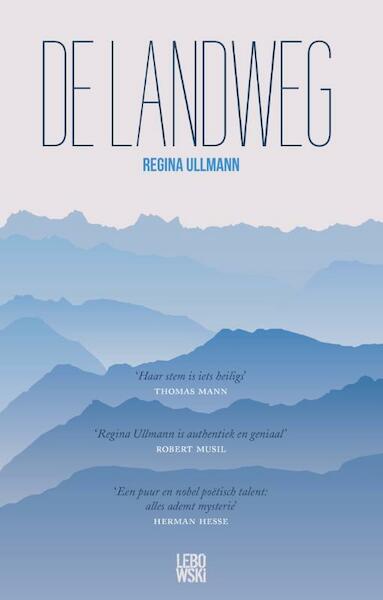 De landweg - Regina Ullmann (ISBN 9789048827329)
