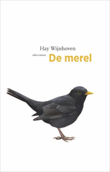 De merel - Hay Wijnhoven (ISBN 9789045033952)