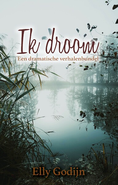Ik droom - Elly Godijn (ISBN 9789493233508)
