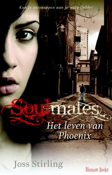 Soulmates - Joss Stirling (ISBN 9789020679137)
