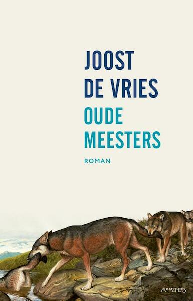 Oude meesters - Joost de Vries (ISBN 9789044634303)