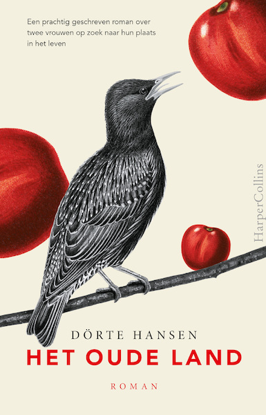 Het oude land - Dörte Hansen (ISBN 9789402701487)