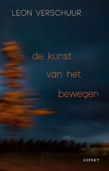 De Kunst van het Bewegen - Leon Verschuur (ISBN 9789463388955)