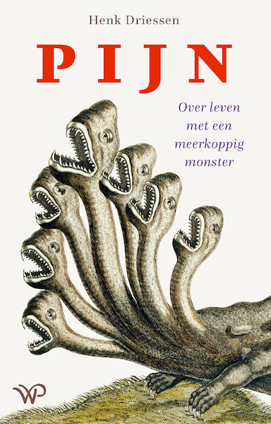 Pijn - Henk Driessen (ISBN 9789462497047)