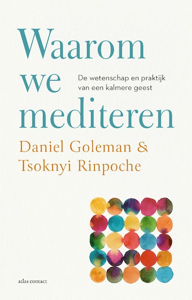 Waarom we mediteren - Daniël Goleman, Tsoknyi Rinpoche (ISBN 9789045045115)