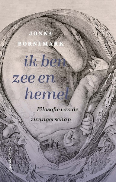 ik ben zee en hemel - Jonna Bornemark (ISBN 9789021477671)