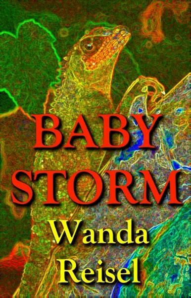 Baby Storm - Wanda Reisel (ISBN 9789025442743)