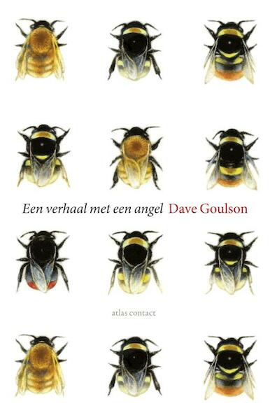 Een verhaal met een angel - Dave Goulson (ISBN 9789045026411)