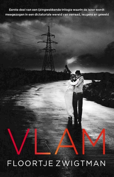 Vlam - Floortje Zwigtman (ISBN 9789048820597)