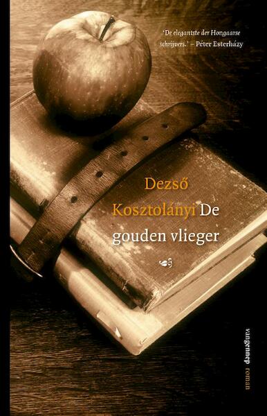 De gouden vlieger - Dezső Kosztolányi (ISBN 9789461648747)
