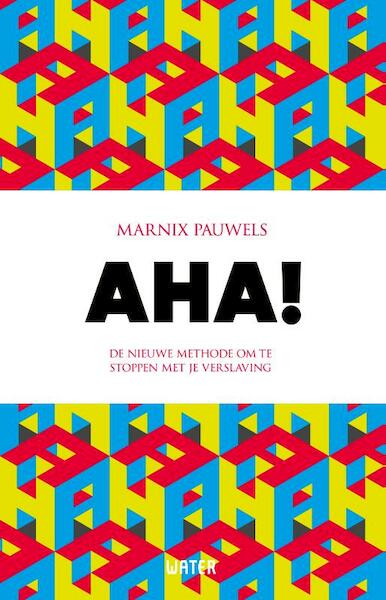 AHA! - Marnix Pauwels (ISBN 9789492495204)